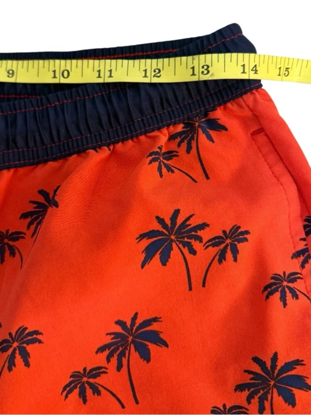 Public Record‎ Swim Trunks